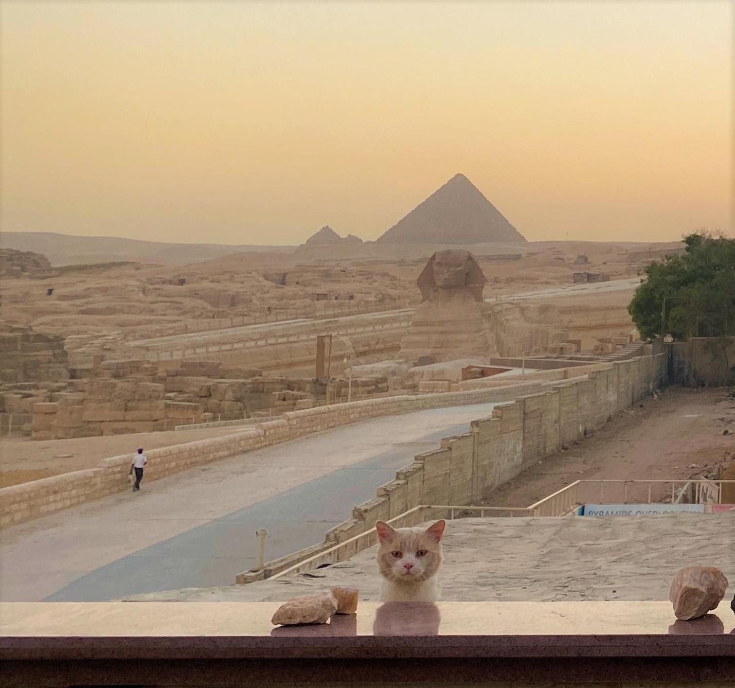 Seven Pyramids Panoramic View Inn Kafret el-Gabal Exterior photo
